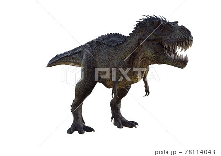 168 Tyrannosaurus London Stock Photos, High-Res Pictures, and Images -  Getty Images