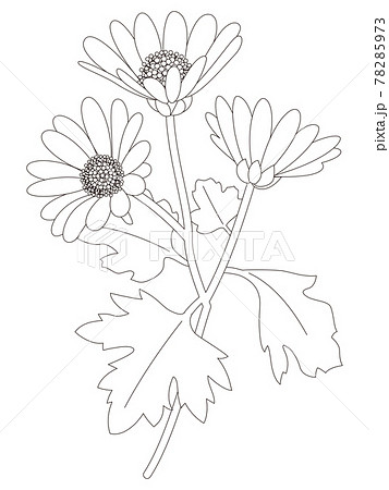 書道作品「野路菊」 野路菊の写真素材 - PIXTA