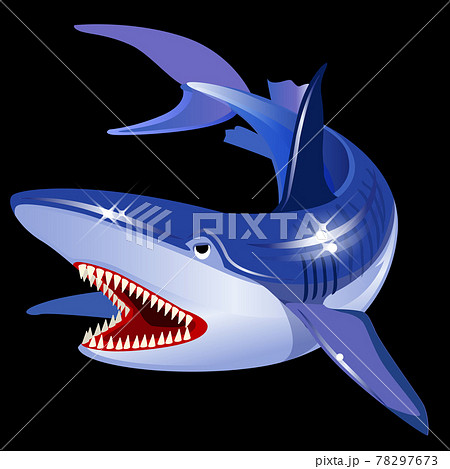 サメ 鮫 魚 怖いのイラスト素材