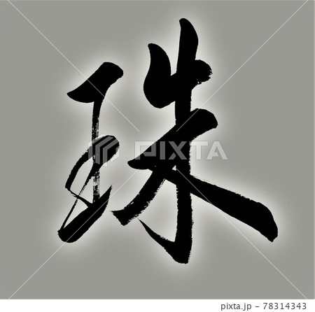 ベクター 筆文字 漢字 珠のイラスト素材