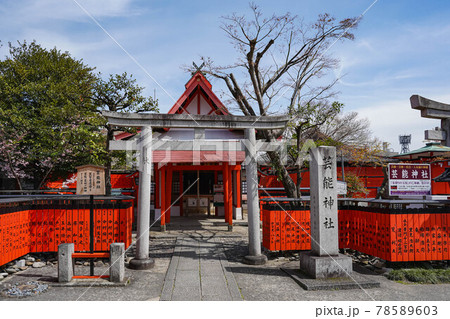 車折神社 本殿 鳥居 芸能神社の写真素材