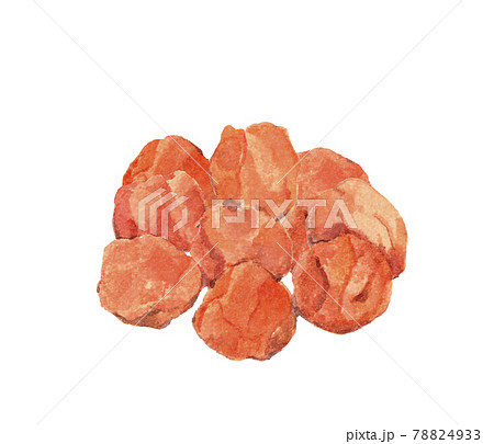 梅干し 食べ物 イラスト 酸っぱいのイラスト素材