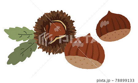 栗のイラスト素材集 ピクスタ