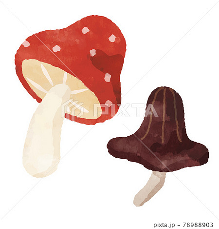 きのこ山のイラスト素材
