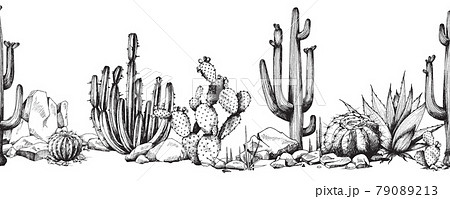 サボテン 植物 モノクロのイラスト素材