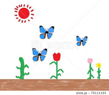 バタフライ 綺麗 蝶 イラストの写真素材