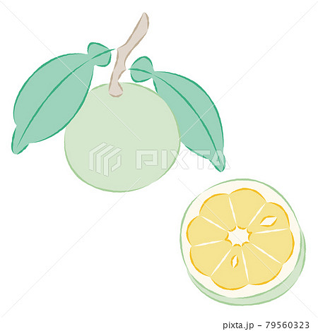 ベクター くだもの 果物 7月のイラスト素材