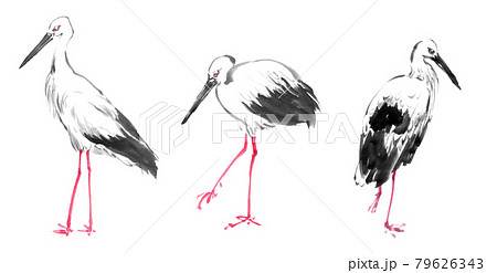 コウノトリ イラストのイラスト素材
