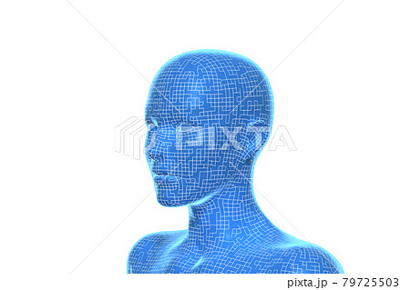 女性 頭 顔 マネキンのイラスト素材