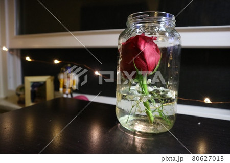 薔薇 ばら バラ 美女と野獣の写真素材