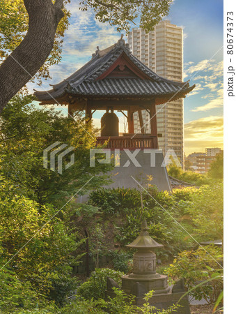 花の雲鐘は上野か浅草かの写真素材 - PIXTA