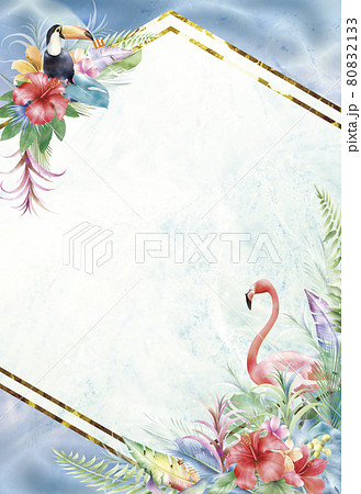 フラミンゴのイラスト素材集 ピクスタ