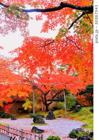 石庭 日本庭園 枯山水 テクスチャの写真素材