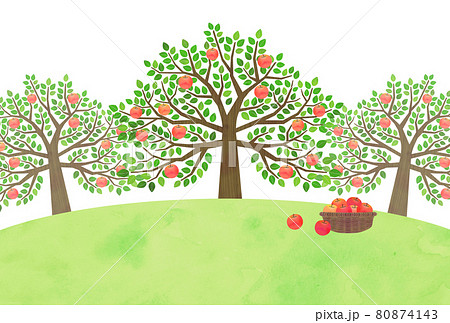 林檎の木のイラスト素材