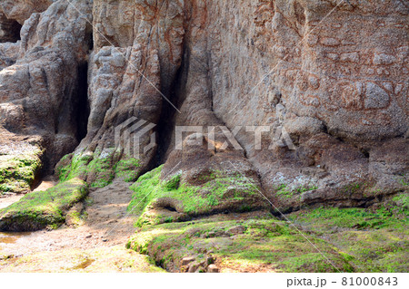 地層 地質 岩盤 隆起の写真素材