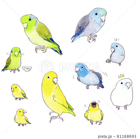 インコ オウムのイラスト素材集 ピクスタ