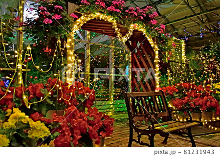 松江フォーゲルパーク 松江 島根 花の写真素材