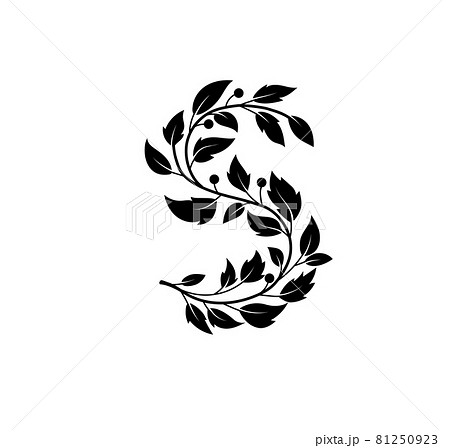 葉 文字 葉っぱ アルファベットの写真素材