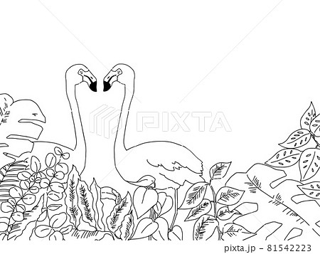 塗り絵 動物 かわいい イラストのイラスト素材