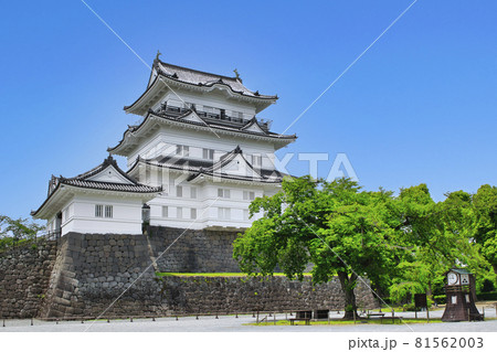 小田原城の写真素材