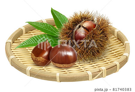 竹かごのイラスト素材 竹かごのイラスト素材