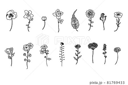 花 モノクロ 植物 一輪のイラスト素材