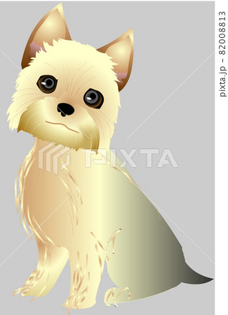 ヨークシャーテリアのイラスト素材