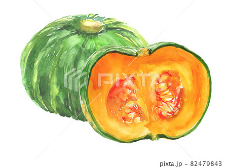 南瓜 かぼちゃ 水彩画 野菜の写真素材 - PIXTA