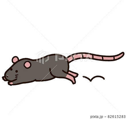 動物 ネズミ 全身 可愛いのイラスト素材