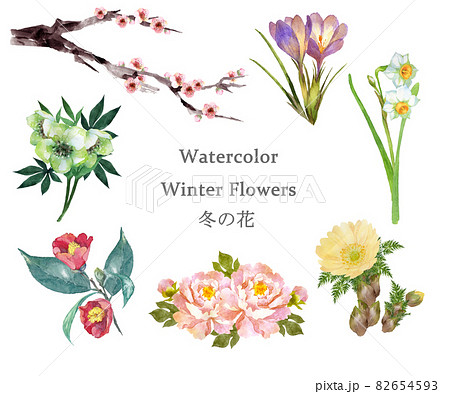冬の花のイラスト素材集 ピクスタ