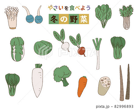 冬野菜のイラスト素材