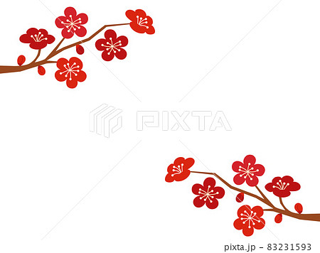 梅 花 植物 2月のイラスト素材