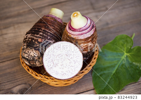 サトイモ 里芋 葉 葉っぱの写真素材
