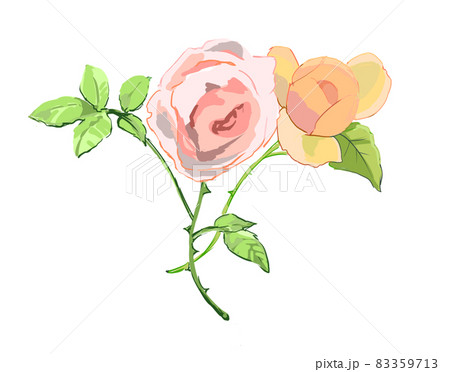 薔薇 バラ 花 ローズのイラスト素材