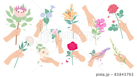 Floral Compositions With Female Hands And Flowersのイラスト素材