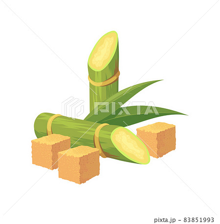 サトウキビ畑のイラスト素材