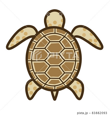 カメ 亀 のイラスト素材集 ピクスタ カメ 亀 のイラスト素材集 ピクスタ