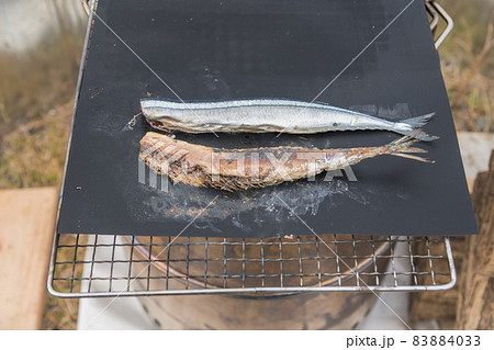 さんまの骨の写真素材