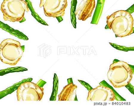 ベビーホタテのイラスト素材