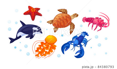 シルエット 亀 カメ イラストのイラスト素材