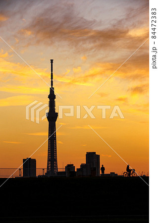 東京タワー シルエット 朝焼けの写真素材