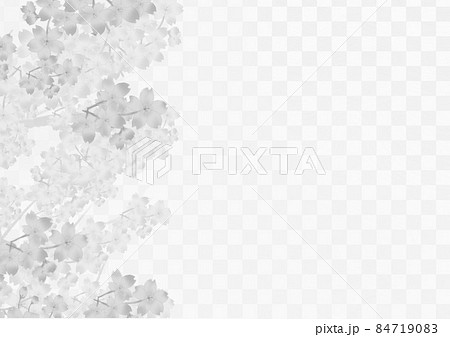 桜 モノクロ 春 花のイラスト素材
