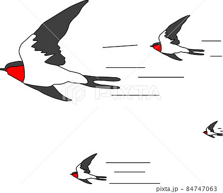 ツバメのイラスト素材 ツバメのイラスト素材
