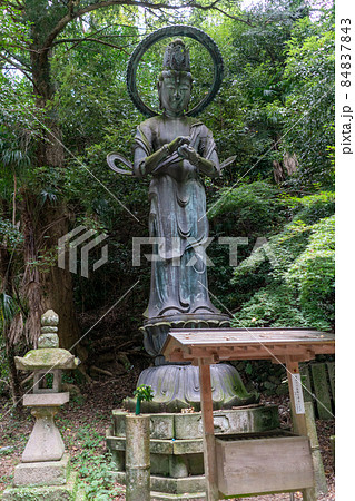 千手観音の写真素材