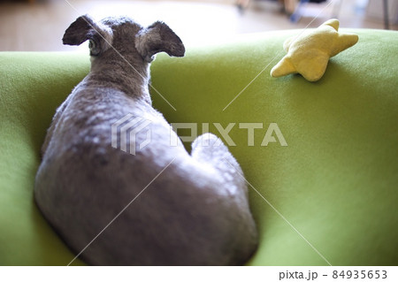 ヨギボーの写真素材