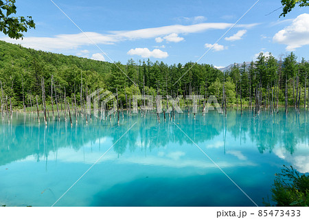 北海道 壁紙 美瑛 青い池の写真素材 北海道 壁紙 美瑛 青い池の写真素材
