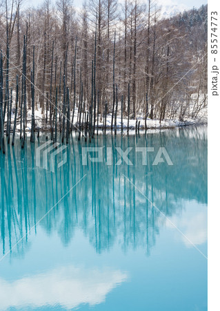 北海道 壁紙 美瑛 青い池の写真素材 北海道 壁紙 美瑛 青い池の写真素材