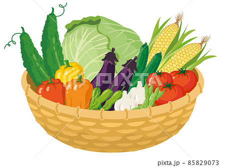 野菜 夏野菜 籠 カゴ盛りのイラスト素材 - PIXTA