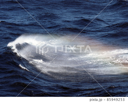 波飛沫 波 海 波しぶきの写真素材