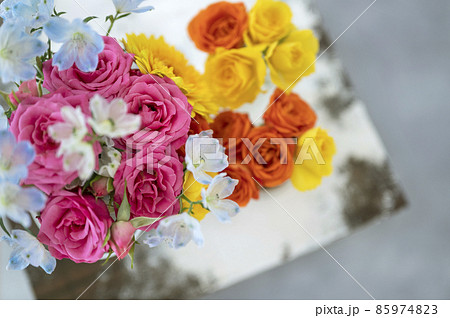 元気が出る花の写真素材